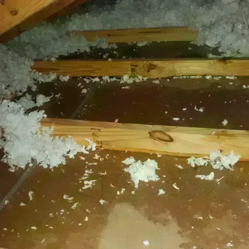 Attic Water Damage in Vance, AL