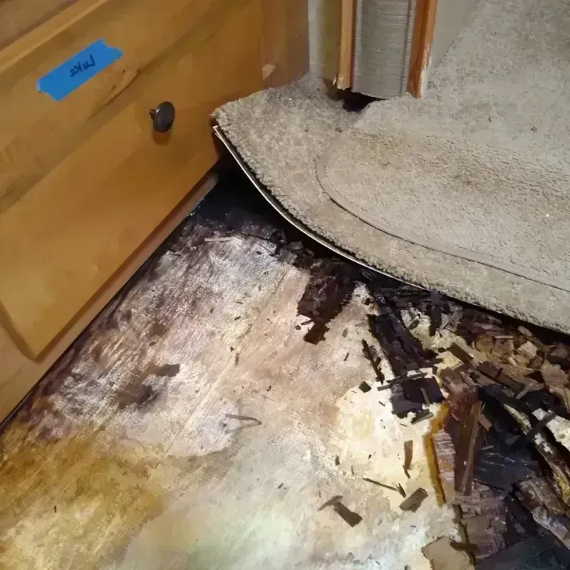 Wood Floor Water Damage in Vance, AL